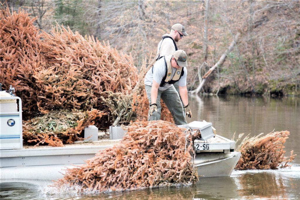 Where to dispose of your Christmas tree WestMetroNews
