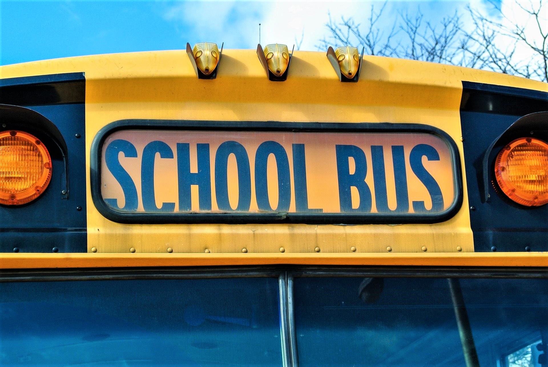 School-bus