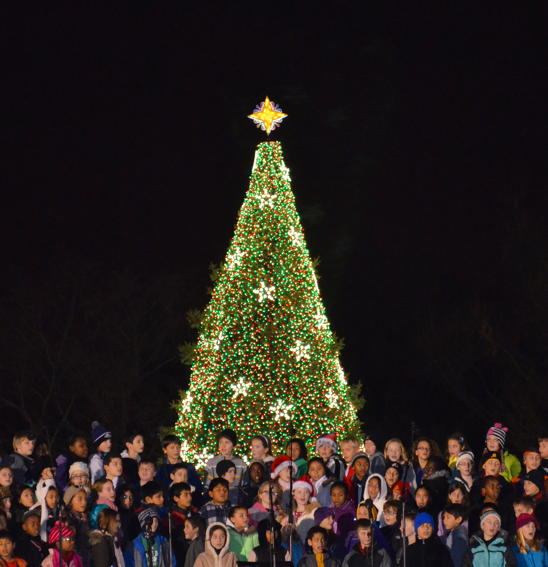 US_National_Christmas_Tree_2012