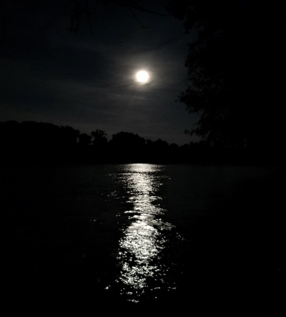 See the full moon over the Congaree River - WestMetroNews