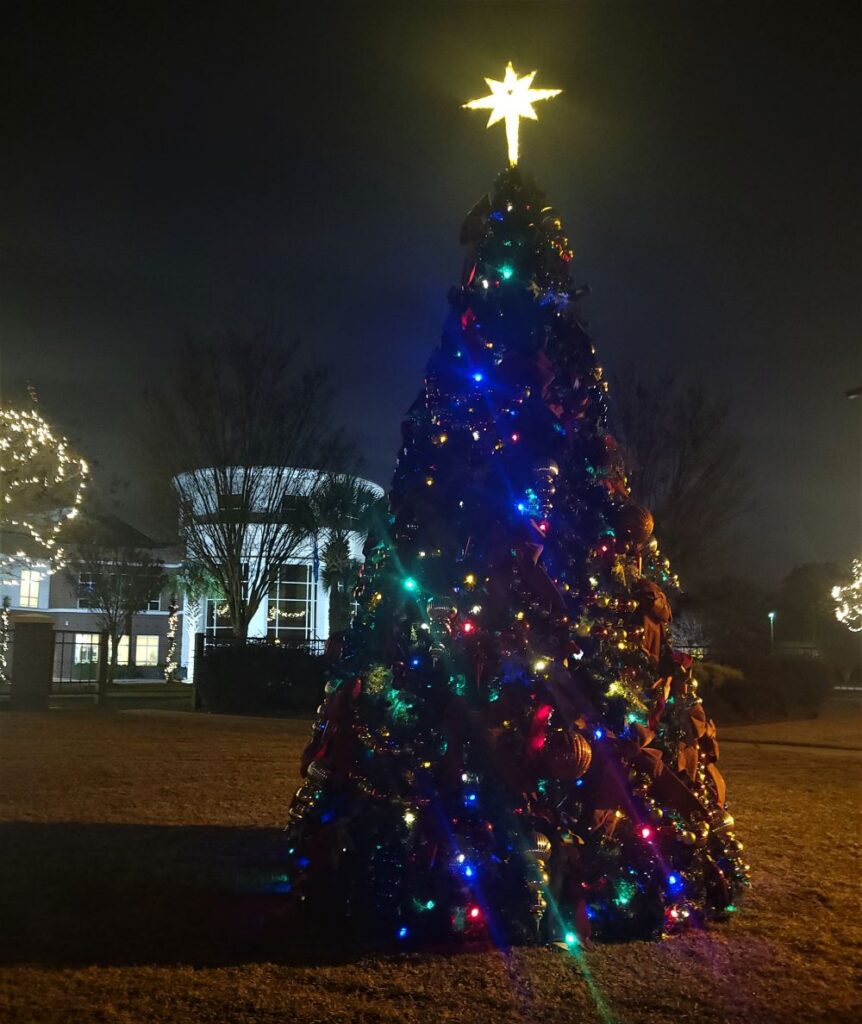 Christmas Tree and lights adorn West Columbia City Hall - WestMetroNews