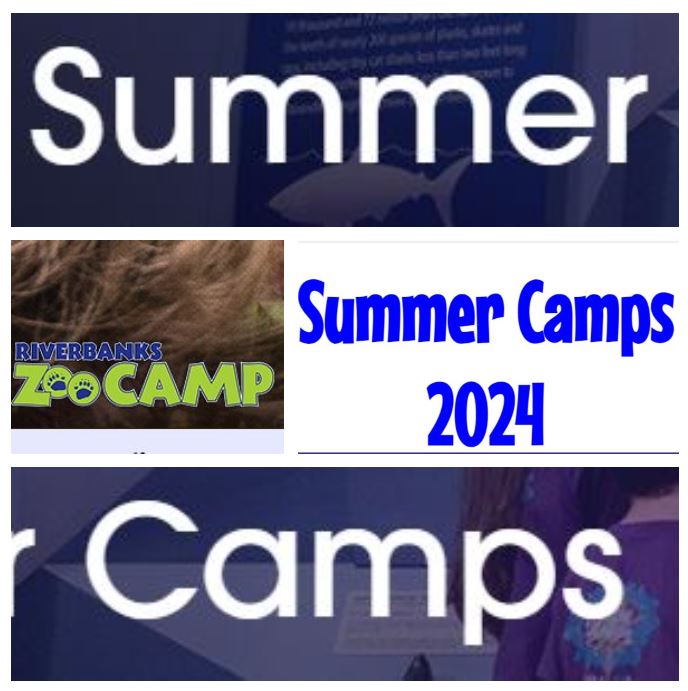 1 A Summer camps