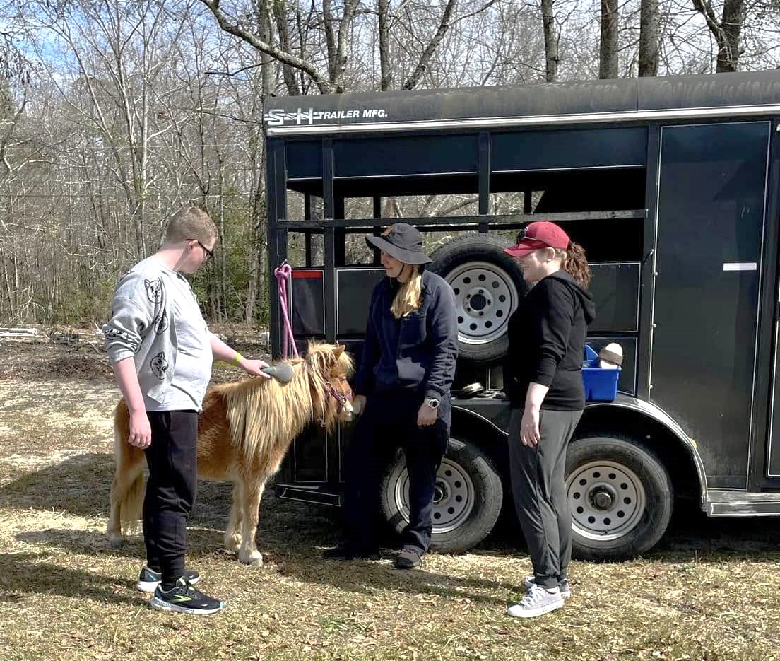 Muffin-the-Therapy-Horse