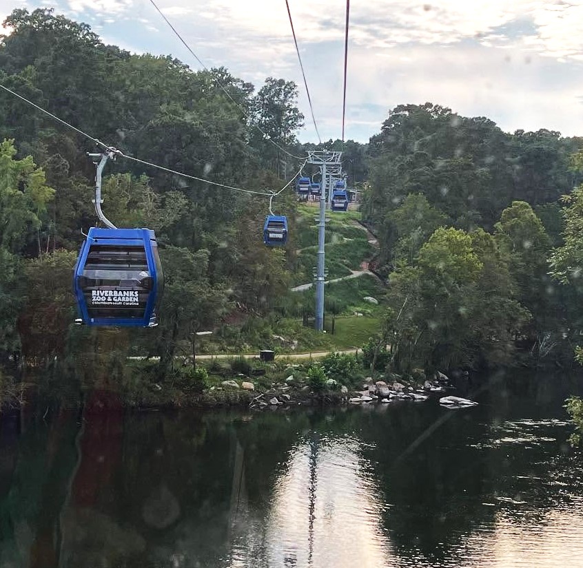 1 A River skyride 1 A River skyride