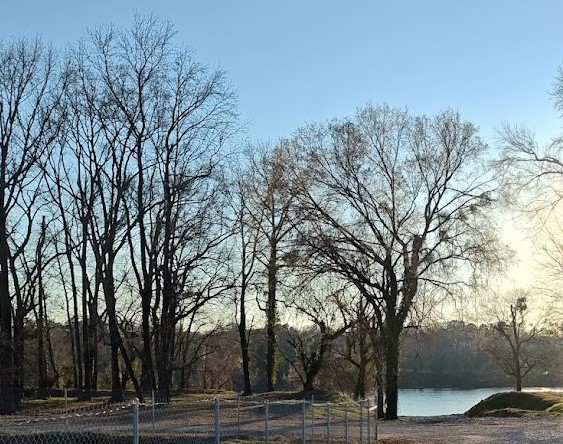 River River