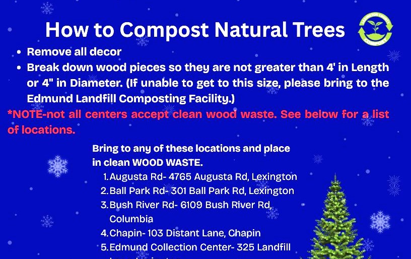 605125088_1194695119418326_1250914215806733799_n-Copy