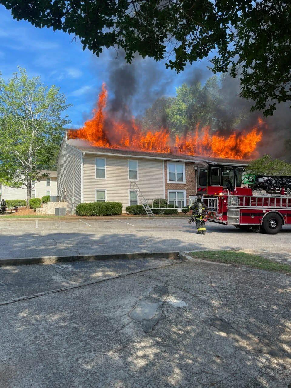 IFD-1 IFD-1
