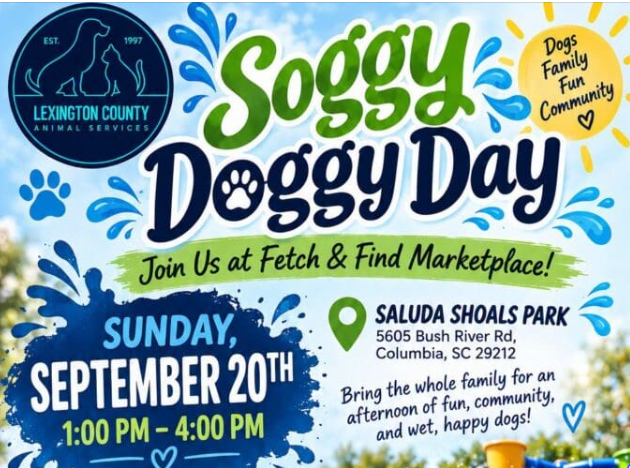 1 A Soggy 1 A Soggy