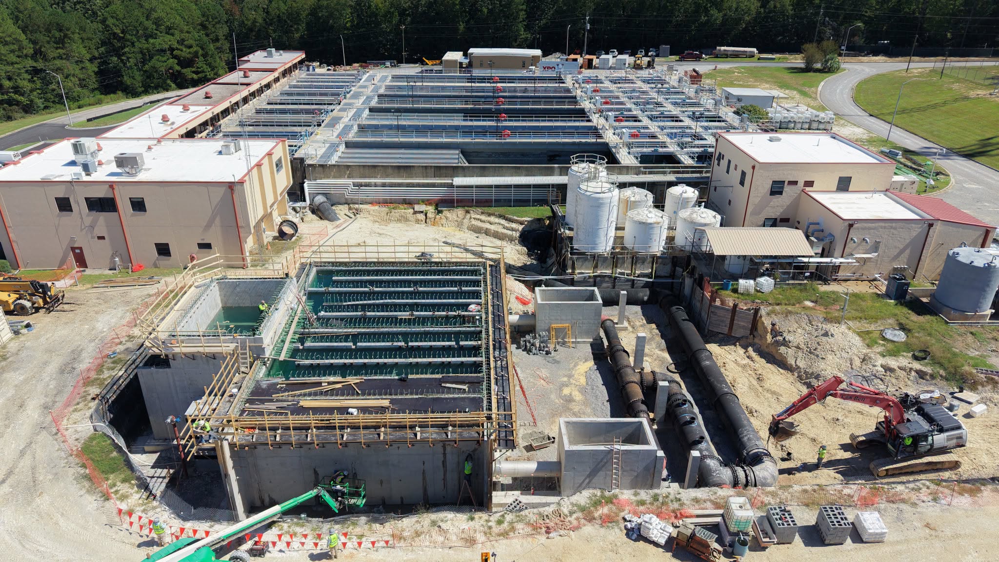 Water plant Water plant